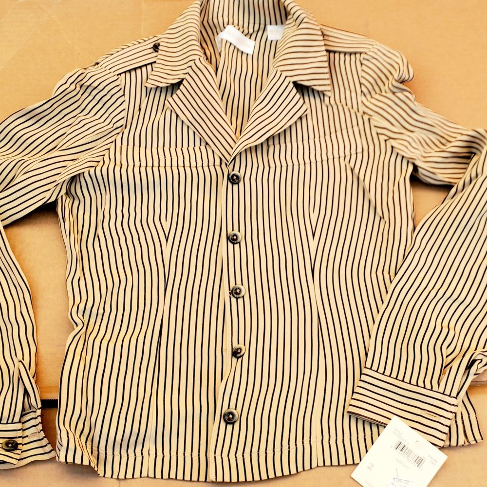 Dressy Tan and Black Stripped Long Sleeves Blouse Silky Reflects Size 2   NWT